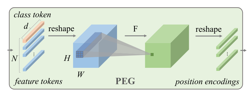 The Positional Encoding Generator (PEG) module architecture.