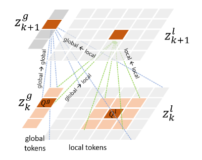 Global and local tokens in Multi-Scale Vision Longformers.